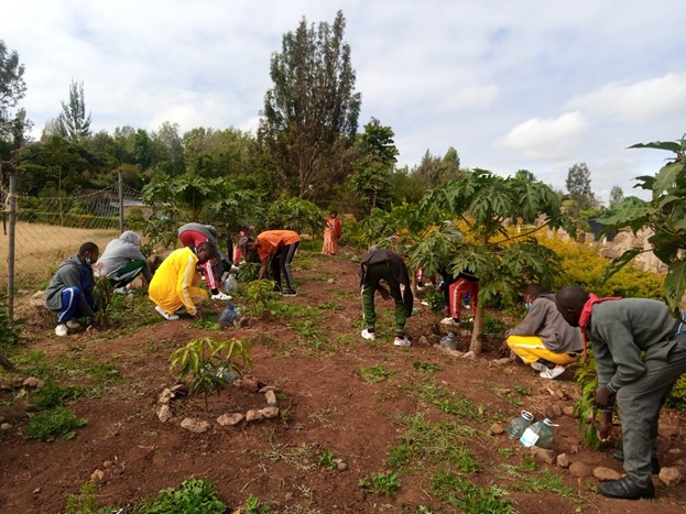 School children participating in a tree planting exercise