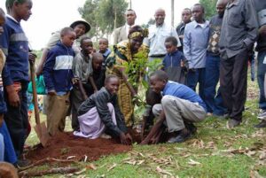 Nobel Peace Laureate the late Prof. Wangari Maathai participating in a tree planting exercise 